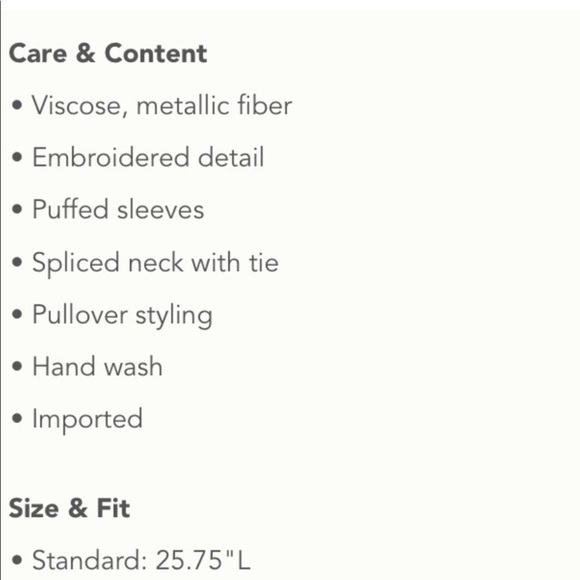 Anthropologie Odetta Shimmer Embroidered Top Shirt Blouse M - Picture 6 of 12